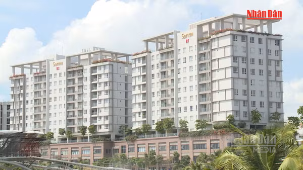[Video] Ngày 2/11 là hạn chót để chủ căn hộ chung cư nộp thuế sử dụng đất phi nông nghiệp 