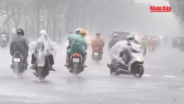 [Video] Cảnh báo lũ quét, sạt lở đất tại 4 tỉnh, thành phố miền trung
