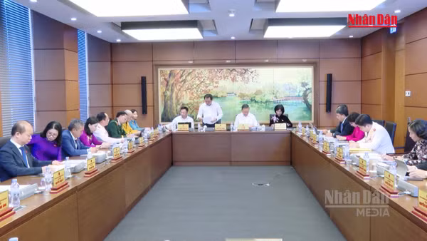 [Video] Hôm nay (18/10), Quốc hội thảo luận dự thảo Bộ luật Tố tụng hình sự (sửa đổi)