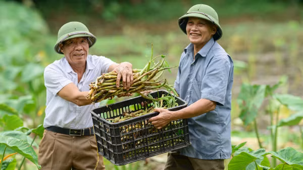 Thế hệ người cao tuổi hôm nay có sức khỏe và khả năng tham gia các hoạt động kinh tế-xã hội tốt hơn trước. Nguồn: HAI