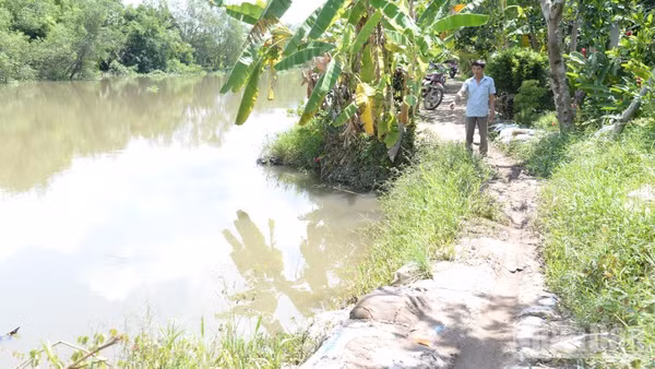 Sạt lở bờ kênh Trà Tân, xã Long Tiên, tỉnh Đồng Tháp cần xử lý để đáp ứng nhu cầu đi lại của nhân dân. 