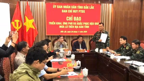 Các đại biểu dự họp.