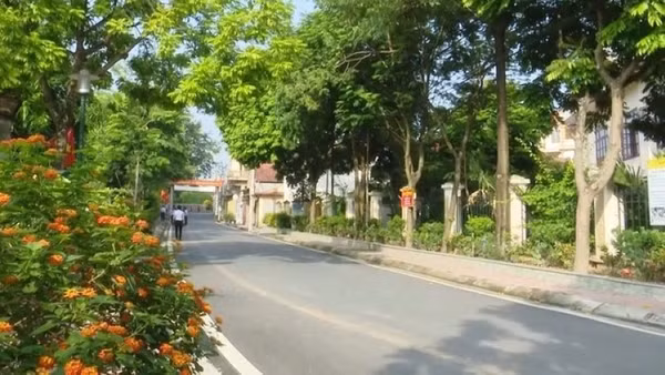 Việc thực hiện chương trình xây dựng nông thôn mới đã tạo nên cảnh quan xanh, sạch ở địa bàn xã Đan Phượng.