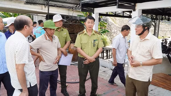 Lực lượng chức năng, Ủy ban nhân dân xã Tiểu Cần, tỉnh Vĩnh Long phối hợp xác minh thông tin cá sấu lớn nổi trên sông Tiểu Cần.