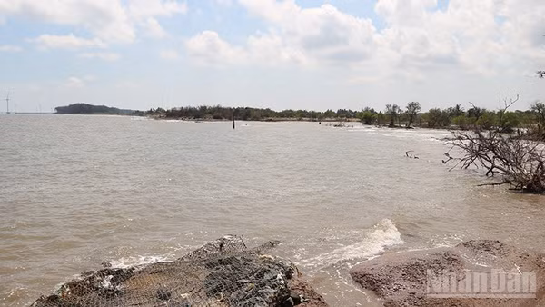 Bờ biển hai ấp Đông Thành và Hồ Thùng, xã Đông Hải, tỉnh Vĩnh Long bị sạt lở nghiêm trọng.