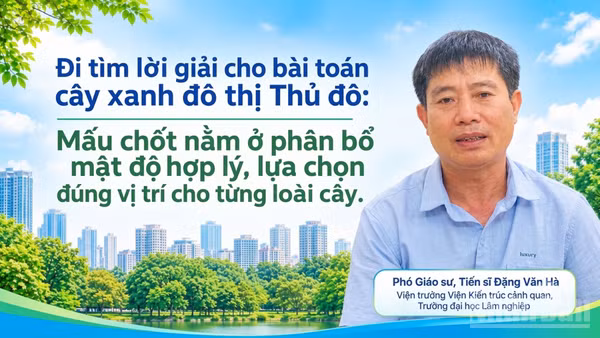 Cây xanh là hạng mục công trình hạ tầng quan trọng trong các đô thị, cần được đầu tư nghiên cứu, xây dựng một cách bài bản. (Ảnh có yếu tố AI)