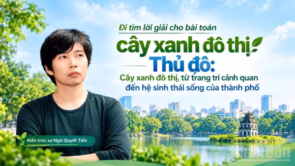  (Ảnh thiết kế có yếu tố AI)