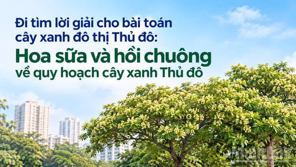 "Hoa sữa không có tội, do người trồng không đúng". (Ảnh có yếu tố AI)