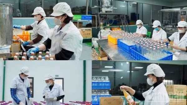 Các doanh nghiệp khoa học-công nghệ gia tăng mạnh trong bối cảnh hiện nay. (Ảnh: CTV)