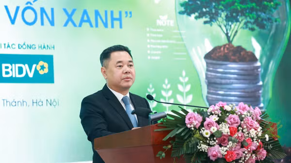 Phó Thống đốc Ngân hàng Nhà nước Nguyễn Ngọc Cảnh phát biểu ý kiến tại hội thảo. (Ảnh: HỒNG DUNG)