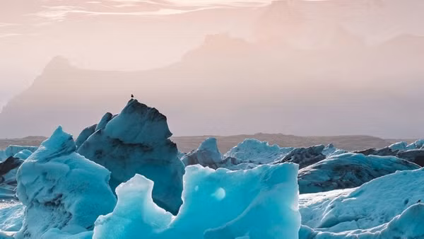 Ảnh: UNEP