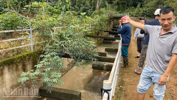 Hệ thống mương dẫn nước thải từ Cụm công nghiệp Tân An đổ xuống hồ Ea Trum, xã Quảng Phú. (Ảnh: CÔNG LÝ)