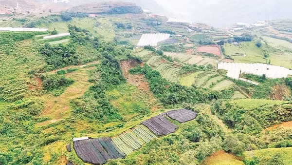 Sa Pa hiện có hơn 300 ha nông nghiệp ứng dụng công nghệ cao và theo hướng công nghệ cao, tạo giá trị hơn 200 tỷ đồng mỗi năm.