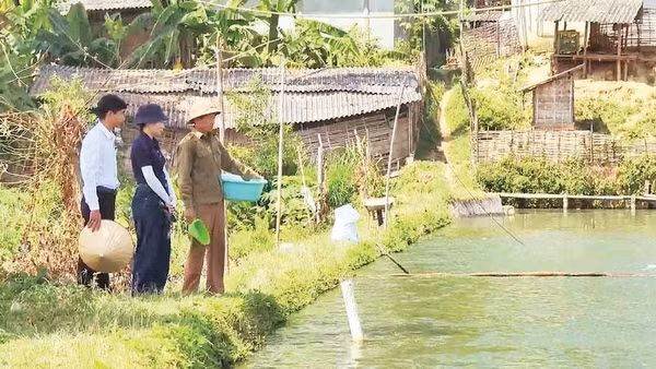 Hội viên Chi hội nghề cá bản Lún Liếng, xã Thanh Yên (tỉnh Điện Biên) trao đổi kinh nghiệm chăm sóc cá khi thời tiết chuyển mùa.