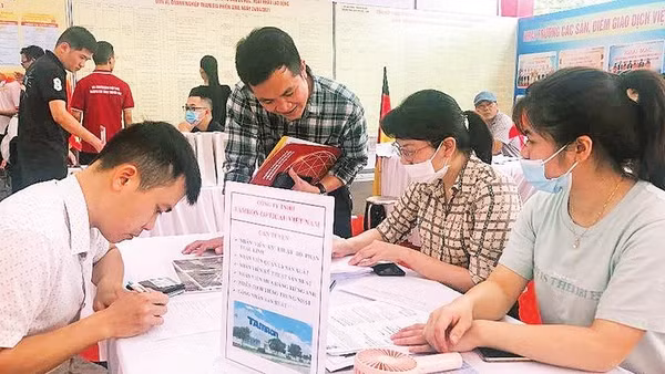 Doanh nghiệp tìm kiếm người lao động tại các phiên giao dịch việc làm trên địa bàn Hà Nội (Ảnh NGUYÊN TRANG)