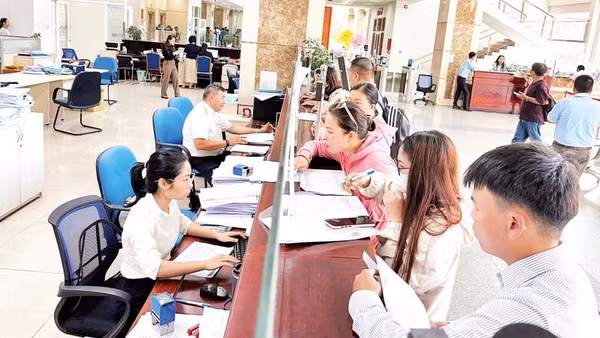 Cán bộ thuế hướng dẫn người nộp thuế làm thủ tục kê khai tại Thuế Thành phố Hồ Chí Minh.