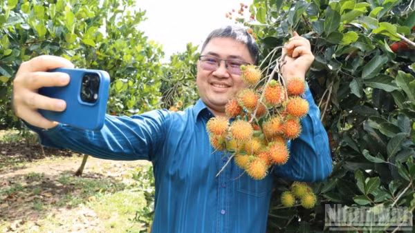 Du khách háo hức trải nghiệm vườn trái cây ở phường Bình Lộc.