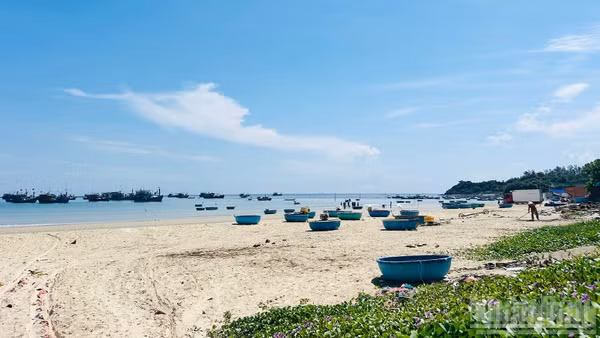 Làng chài thôn Châu Thuận Biển mang vẻ hoang sơ, huyền bí.