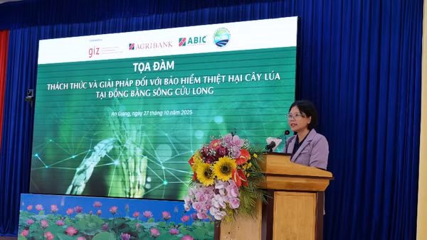 Bà Đinh Thị Hoa, Trưởng phòng Giảm nghèo và An sinh xã hội phát biểu tại tọa đàm. 