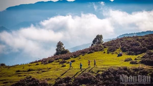 Giải chạy địa hình vượt núi Vietnam Mountain Marathon 2026 hứa hẹn bùng nổ tại Sa Pa. (Ảnh: Ủy ban nhân dân phường Sa Pa)