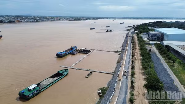 Dự án khắc phục khẩn cấp sạt lở sông Tiền đang được tỉnh Đồng Tháp đẩy nhanh tiến độ.