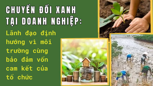 Khi lãnh đạo doanh nghiệp phụng sự môi trường, sự phát triển sẽ đạt hiệu quả bền vững. (Ảnh: HNV)