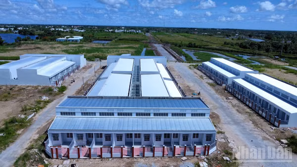 Dự án nhà ở xã hội phường An Xuyên do Công ty Cổ phần Xây dựng và Phát triển nhà Cà Mau làm chủ đầu tư. (Ảnh: HỮU TÙNG, chụp tháng 10/2025).