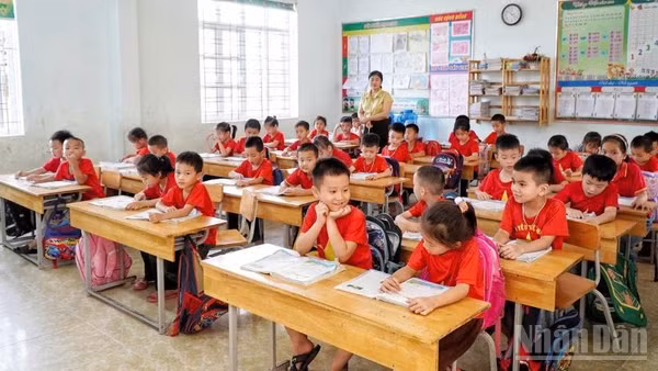 Nghệ An sắp xếp lại 647 trường, giảm gần một nửa số đầu mối. (Ảnh: ĐÌNH PHƯỢNG)