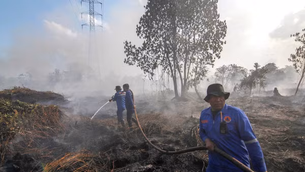 Lính cứu hỏa nỗ lực dập lửa cháy rừng tại Pekanbaru, tỉnh Riau, Indonesia trong mùa khô năm 2025. (Ảnh: THX/TTXVN)