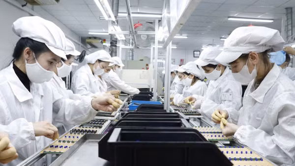 ESG và hành trình Go Global: Xây dựng uy tín để doanh nghiệp Việt “được lựa chọn”. (Ảnh: ĐỖ BẢO)