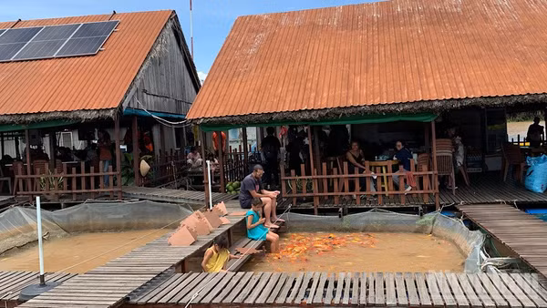Du khách nước ngoài tham quan, trải nghiệm các loài cá quý nuôi bè trên sông Hậu. (Ảnh: THANH TÂM)