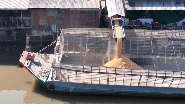 Nhà máy xay xát bơm trấu xuống ghe không che chắn khiến bụi bay vào nhà dân.