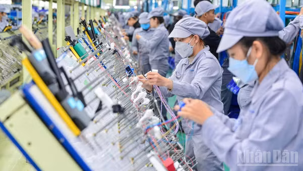 Doanh nghiệp Việt Nam đang từng bước chuyển đổi theo hướng xanh hơn, số hóa sâu hơn. (Ảnh THÀNH ĐẠT)