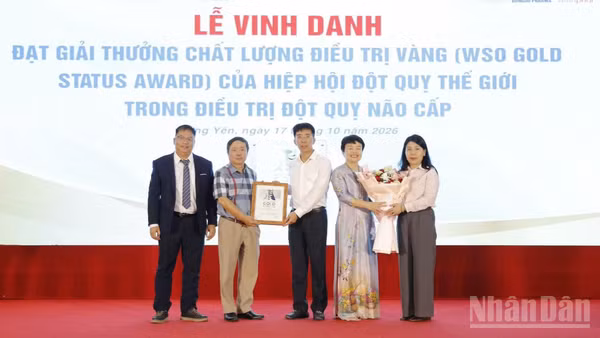 Bệnh viện Đột quỵ và Thần kinh Hà Nội-Thái Bình nhận giải thưởng của Tổ chức Đột quỵ Thế giới. (Ảnh: MAI TÚ)