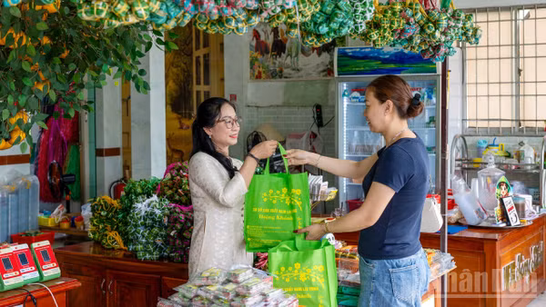 Khác với loại nem của miền bắc hay miền trung, nem Lai Vung gói bằng lá chuối, vuông vắn và buộc thành từng chục. Loại nem gắn liền với địa danh xã Lai Vung đã đi một hành trình hơn 65 năm để trở thành đặc sản nổi tiếng của tỉnh Đồng Tháp.