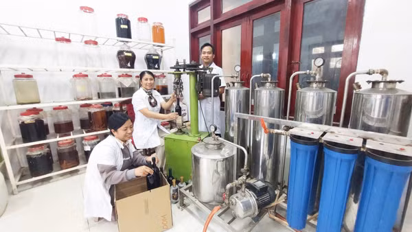 Cán bộ kỹ thuật Viện Nghiên cứu Bông và Phát triển Nông nghiệp Nha Hố làm chủ công nghệ sản xuất, chế biến nho và táo.