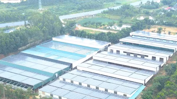 Một trang trại sản xuất sử dụng điện mặt trời ở phía bắc tỉnh Quảng Trị. (Ảnh: HG)