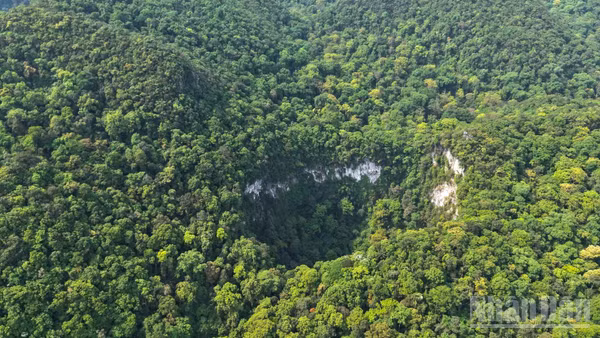 Hố sụt vừa phát hiện ở khu vực Chà Nòi-Khe Gát nhìn từ trên cao. (Ảnh: Jungle Boss)