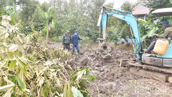 Đội K91 tiếp tục tìm kiếm, quy tập hài cốt liệt sĩ trong vườn sầu riêng ngày 22/9. (Ảnh: NGUYỄN SỰ)