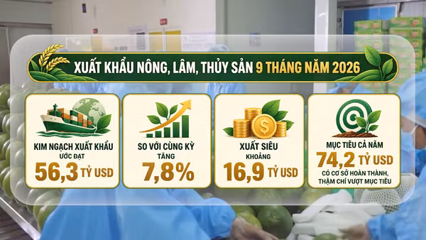 [Video] Phó Thủ tướng: Không để sản xuất nông sản xong mới đi tìm thị trường