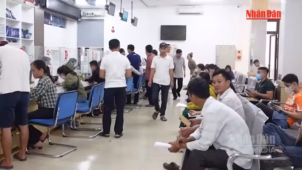 [Video] Không để hồ sơ qua môi giới được ưu tiên khi làm thủ tục về đất đai