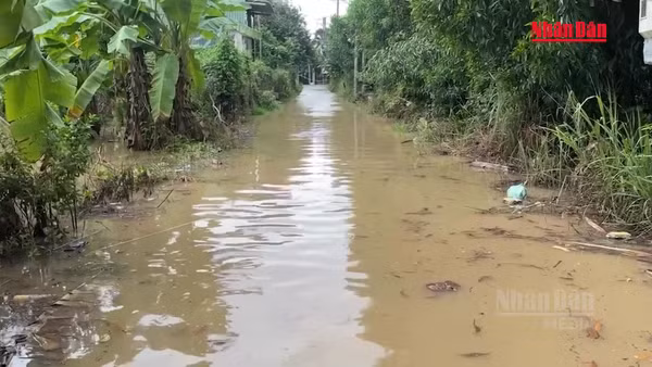 [Video] Khu dân cư cạnh cao tốc Biên Hòa-Vũng Tàu lần thứ 3 ngập trong 3 tuần