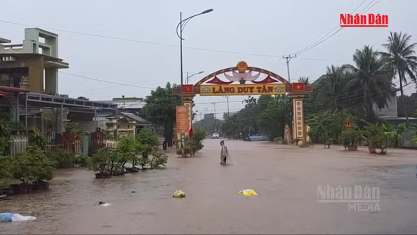 [Video] Hàng trăm xã, phường miền trung nguy cơ cao xảy ra lũ quét, sạt lở đất