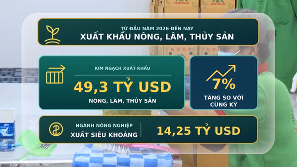 [Video] Xuất khẩu nông, lâm, thủy sản đạt 49,3 tỷ USD
