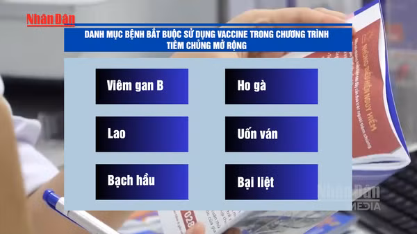 [Video] Từ ngày 1/7, vaccine HPV được đưa vào Chương trình tiêm chủng bắt buộc