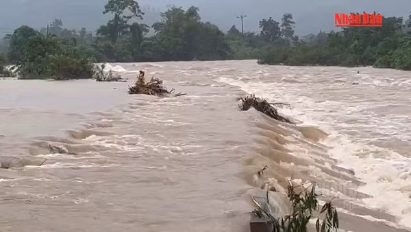 [Video] Quảng Trị chủ động cho học sinh nghỉ học tại khu vực không an toàn do mưa lũ