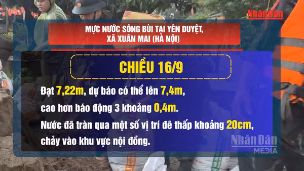 [Video] Quân và dân Hà Nội đội mưa gia cố đê, ứng phó lũ sông Bùi