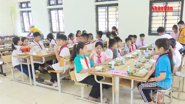 [Video] Thủ tướng chỉ đạo công khai nguồn thực phẩm và hình ảnh khay ăn của học sinh