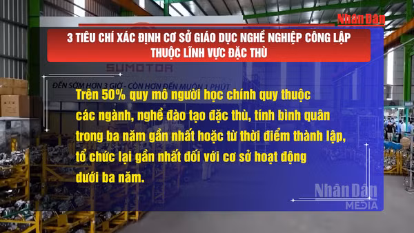 [Video] 3 tiêu chí xác định cơ sở giáo dục nghề nghiệp công lập thuộc lĩnh vực đặc thù