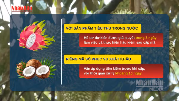 [Video] Tháo gỡ vướng mắc trong cấp mã số vùng trồng, cơ sở đóng gói